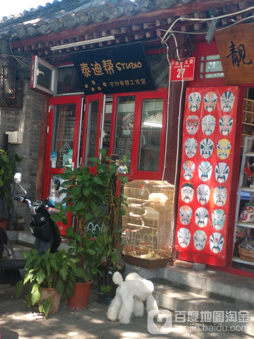 泰迪帮宠物美容工作室