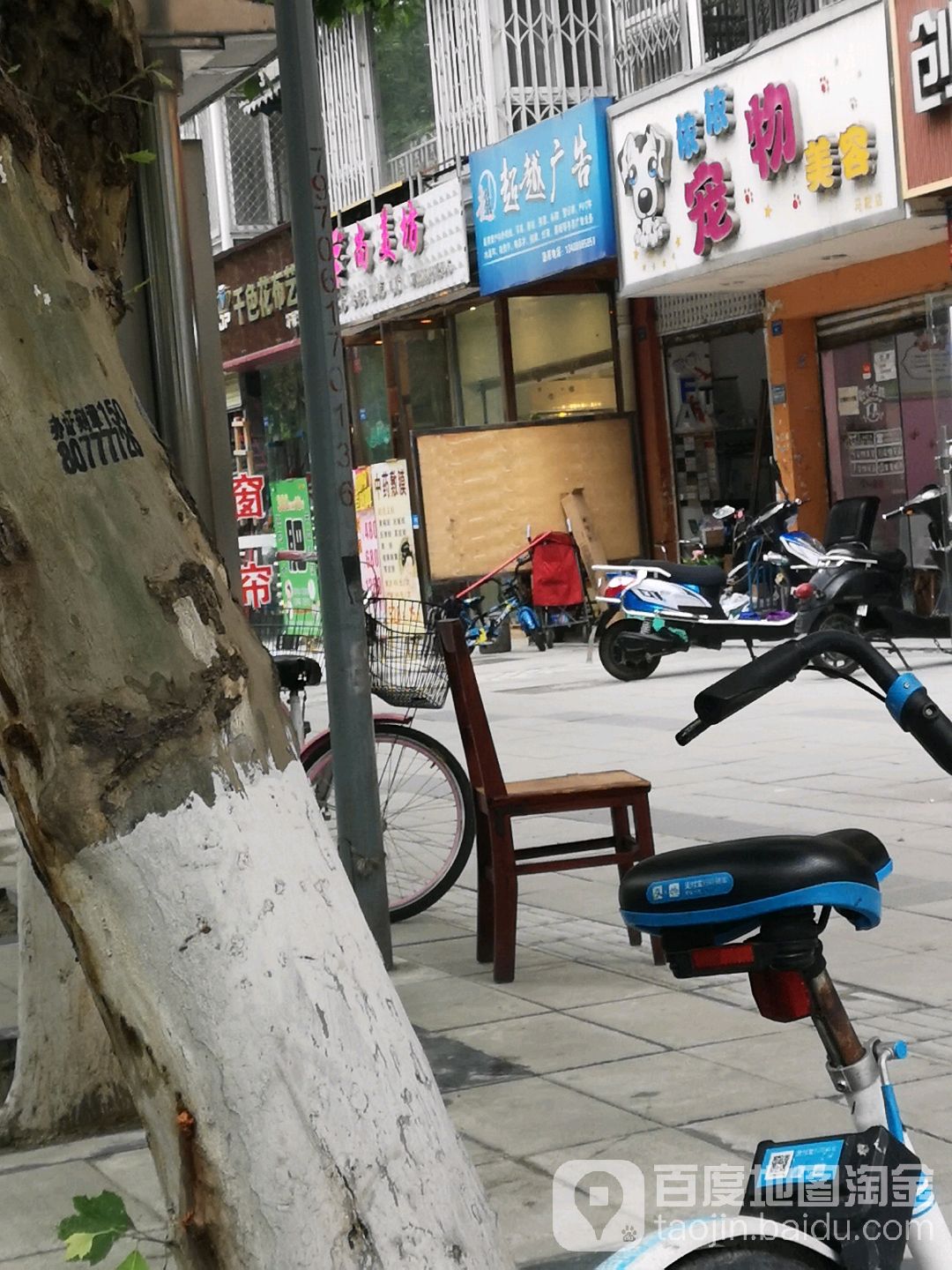 依依宠物美容(马鞍店)