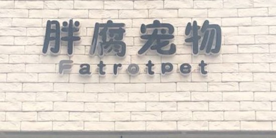 胖腐宠物