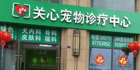 杭州关心宠物猫科中心