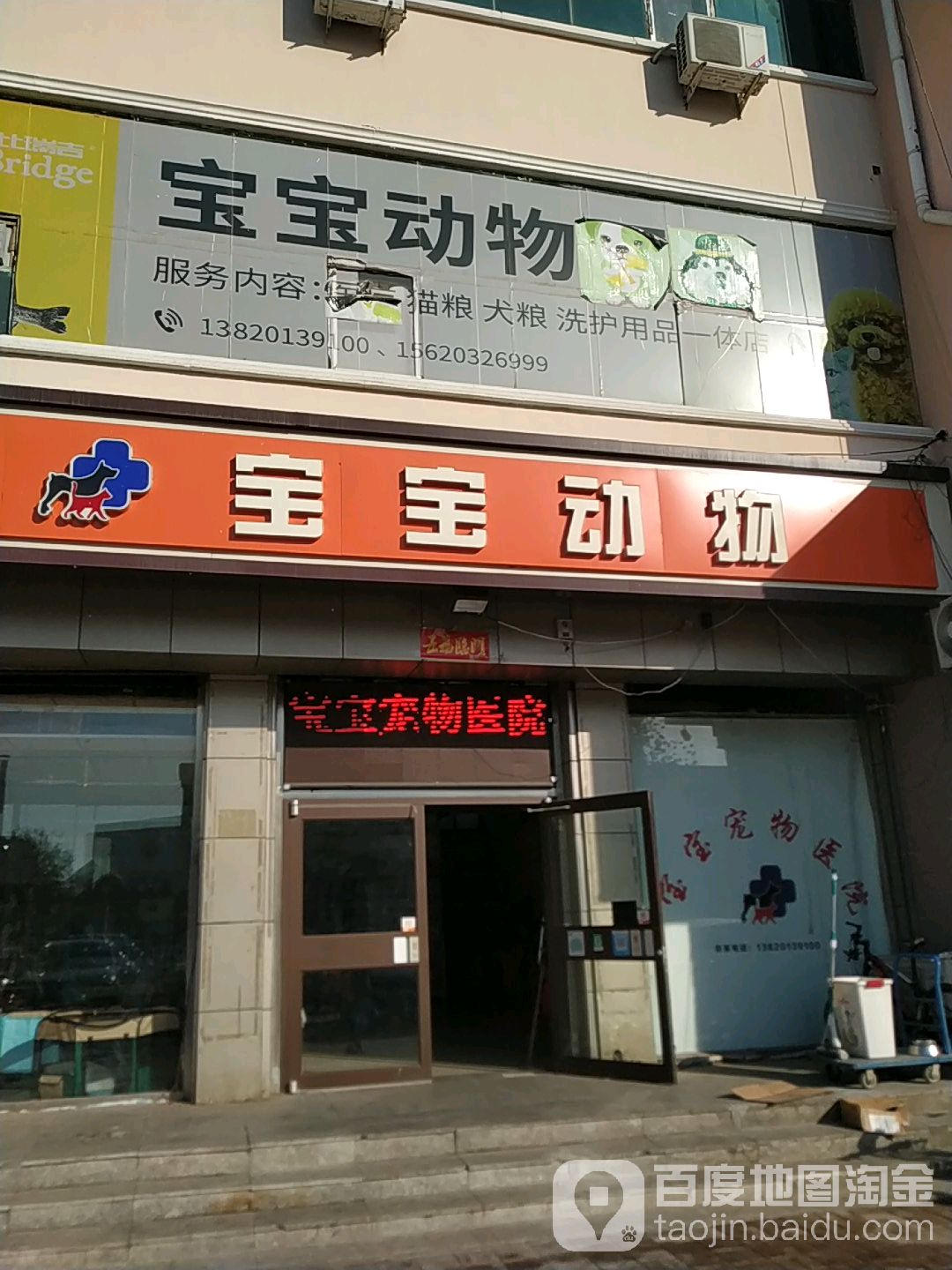宝宝动物