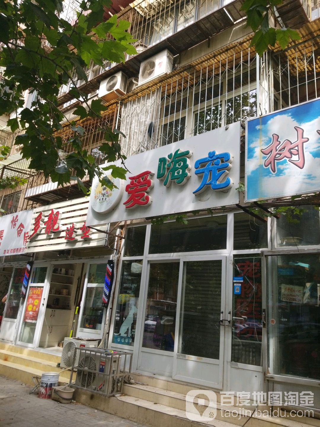 爱嗨宠(中山门店)