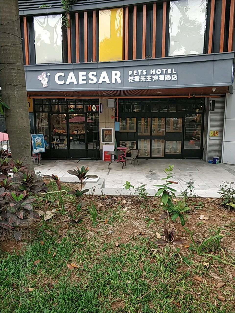 恺撒先生宠物酒店