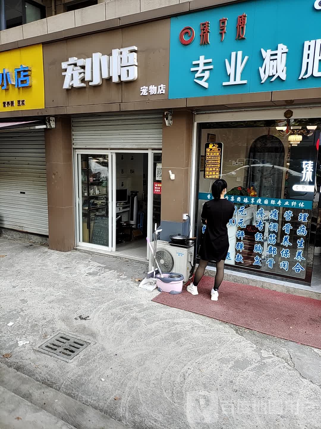 宠小悟宠物店