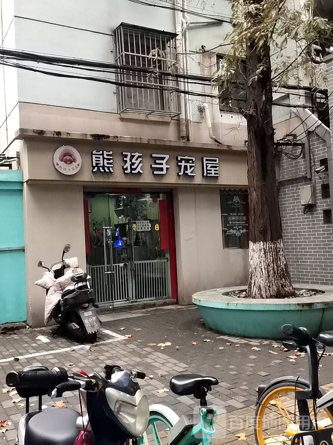 熊孩子宠屋(蓝旗街店)