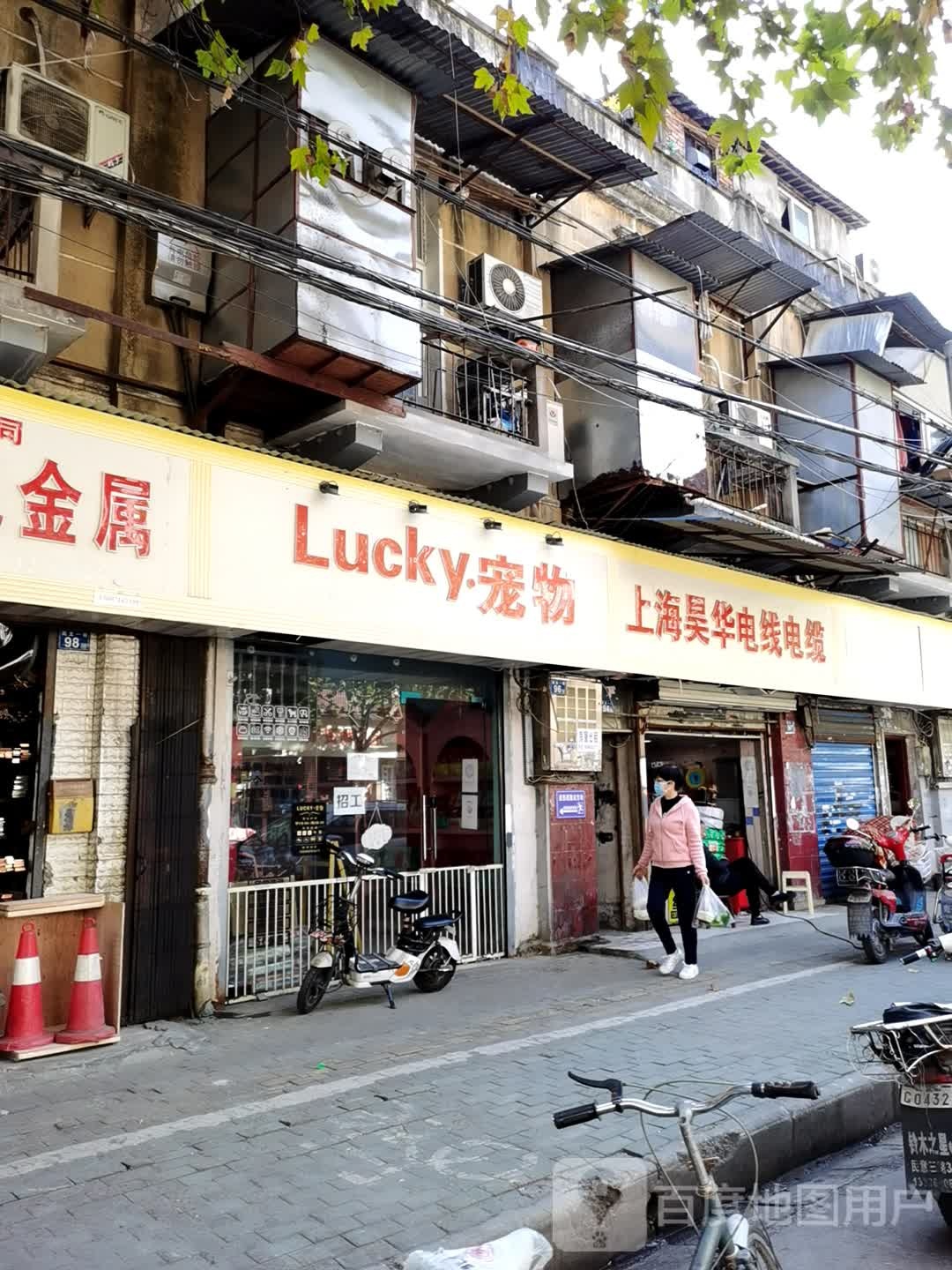Lucky·宠物