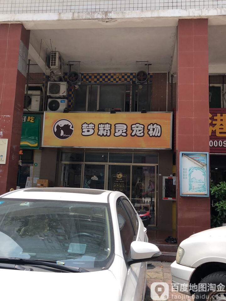 梦精灵宠物