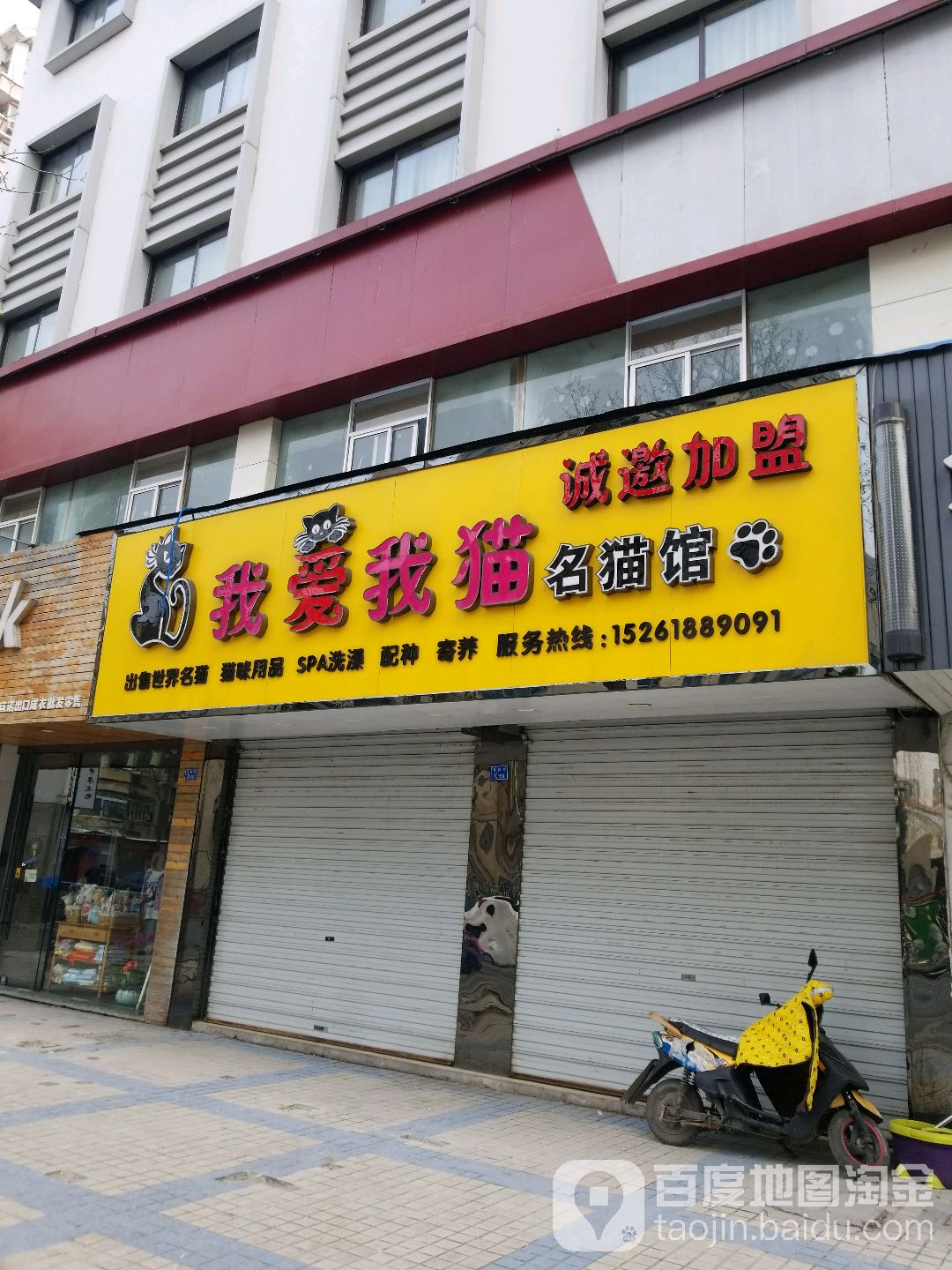 我爱我猫名猫馆