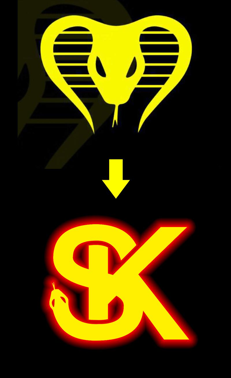 SK爬宠工作室
