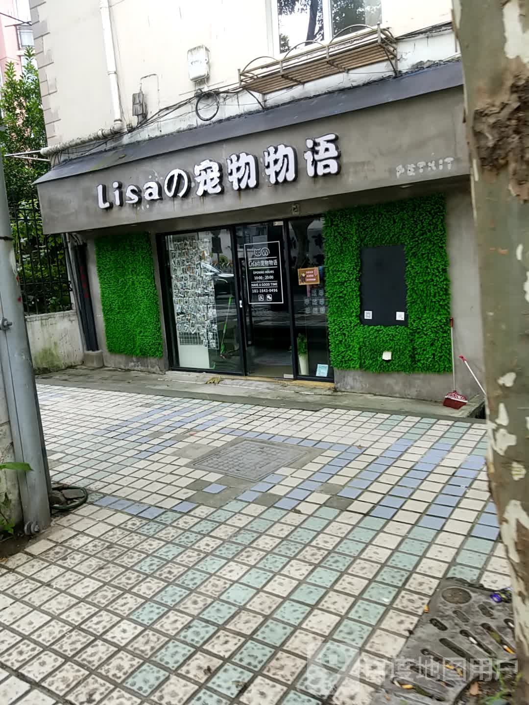 Lisa之宠物物语