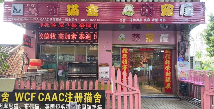 萌宠屋