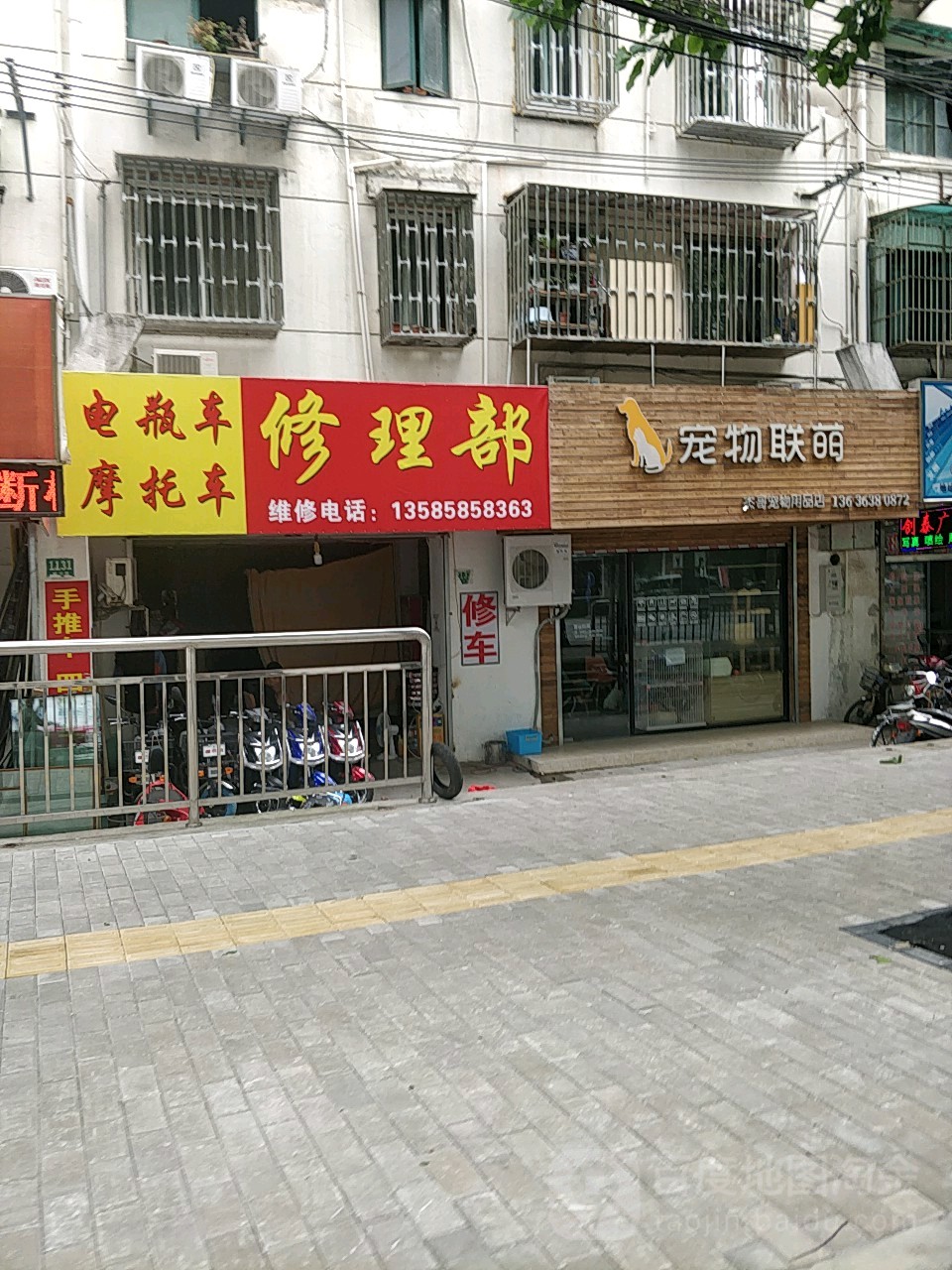 宠物联萌