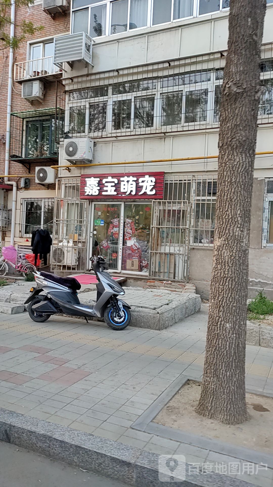 嘉宝萌宠