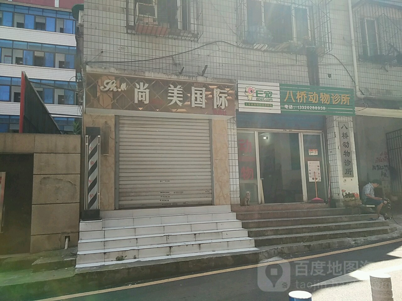 八桥动物诊所