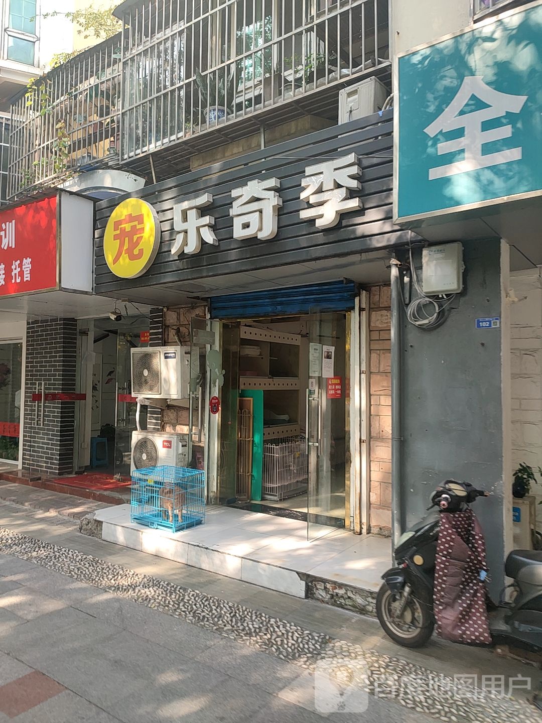 宠乐奇季