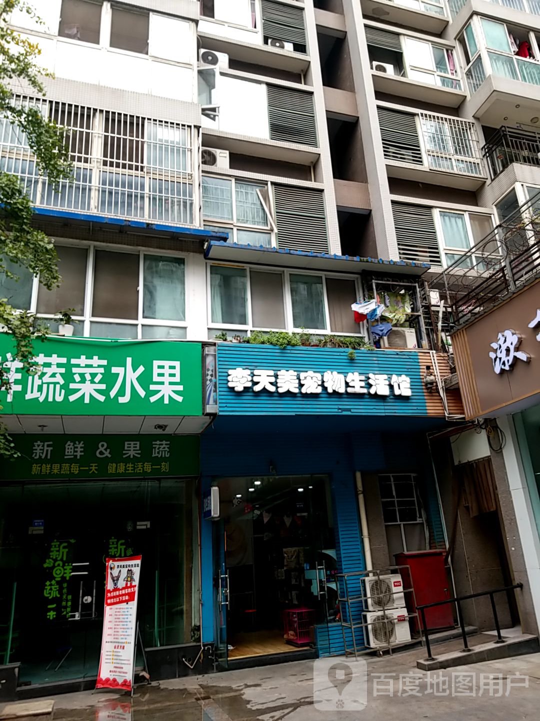 李天美宠物生活馆