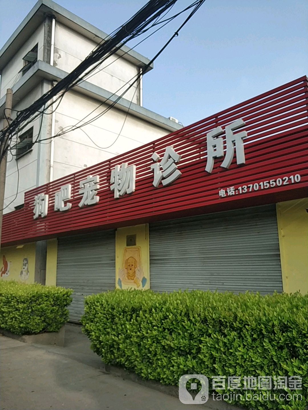狗吧宠物诊所
