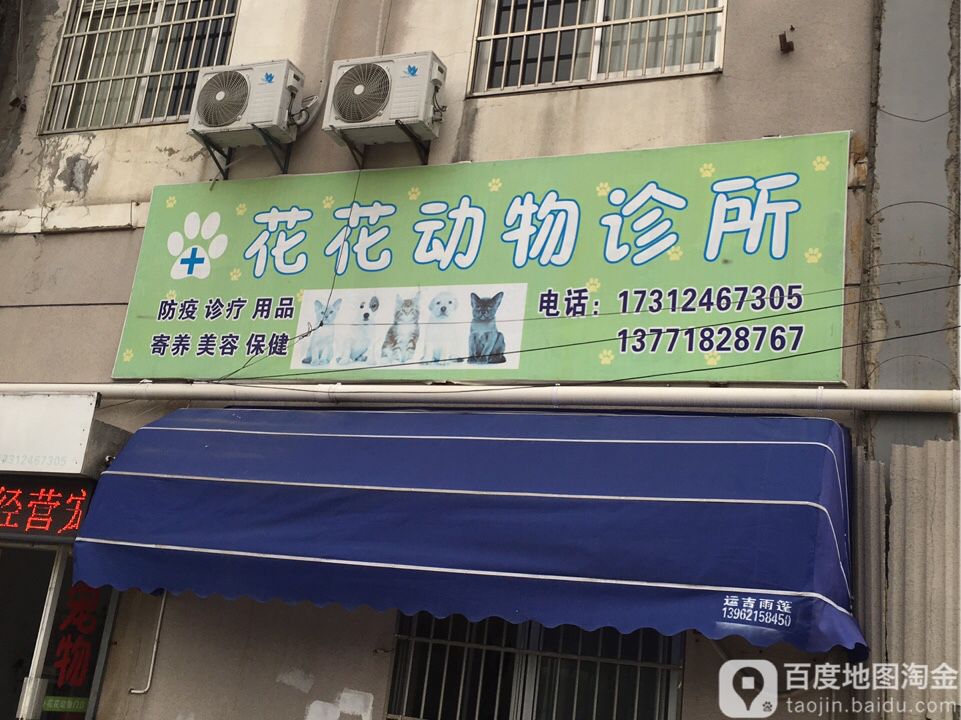 花花动物门诊