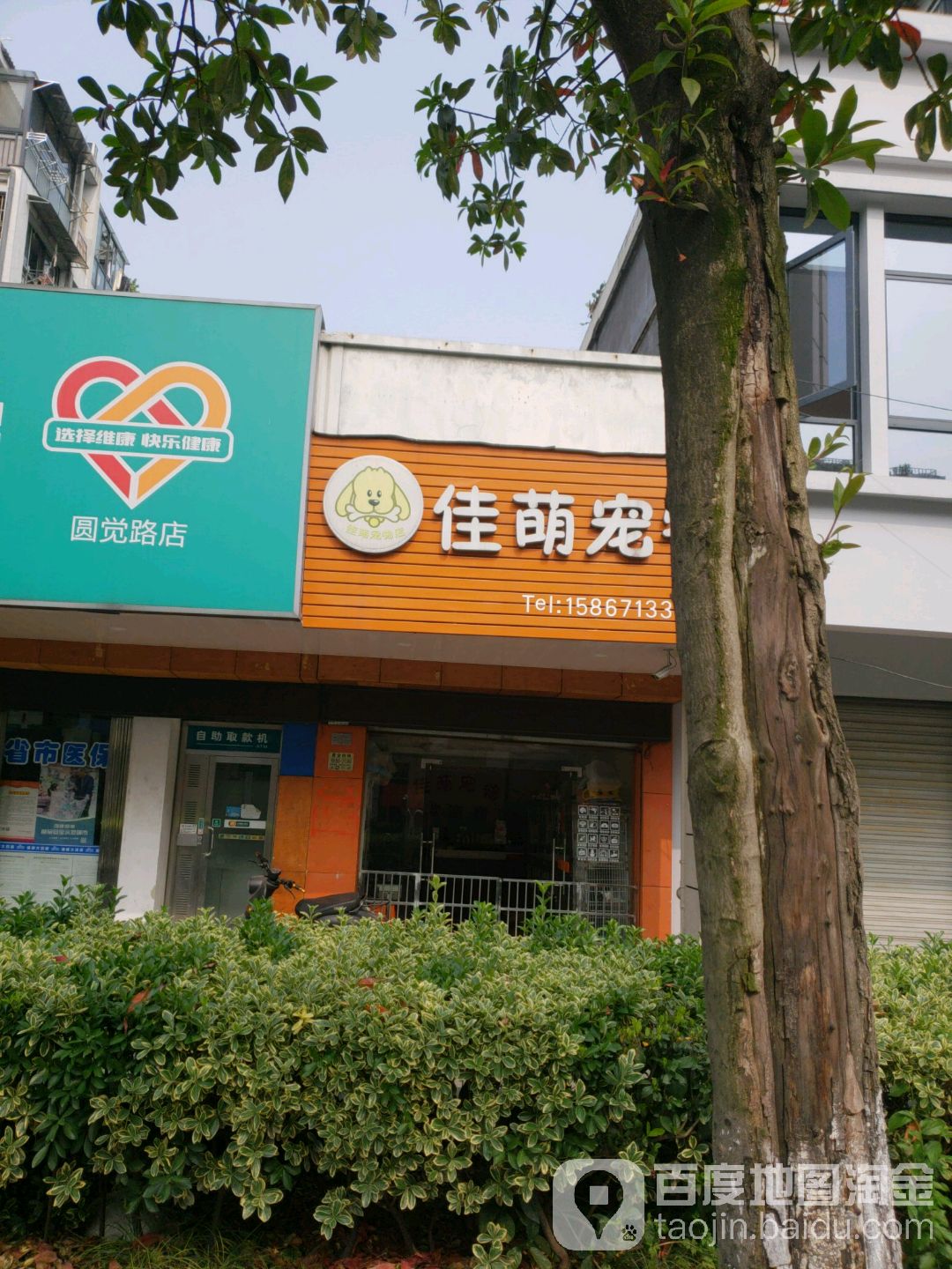 佳萌宠物(蒋村花园店)