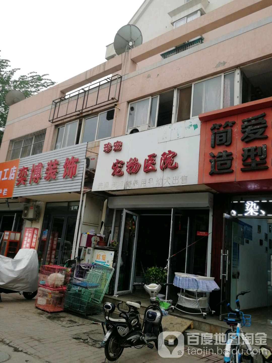 珍宠宠物(向阳路)