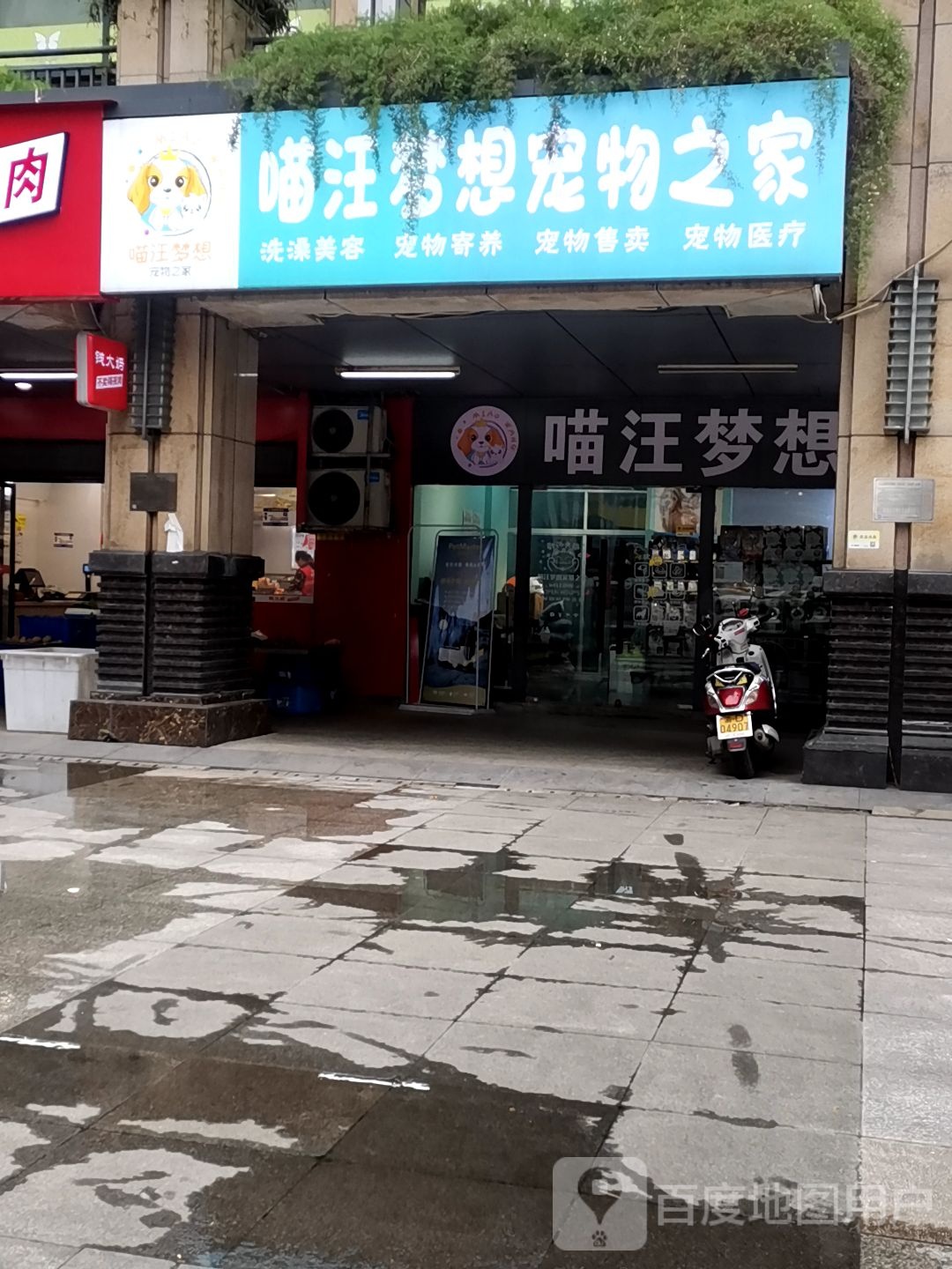 喵汪宠物梦想之家