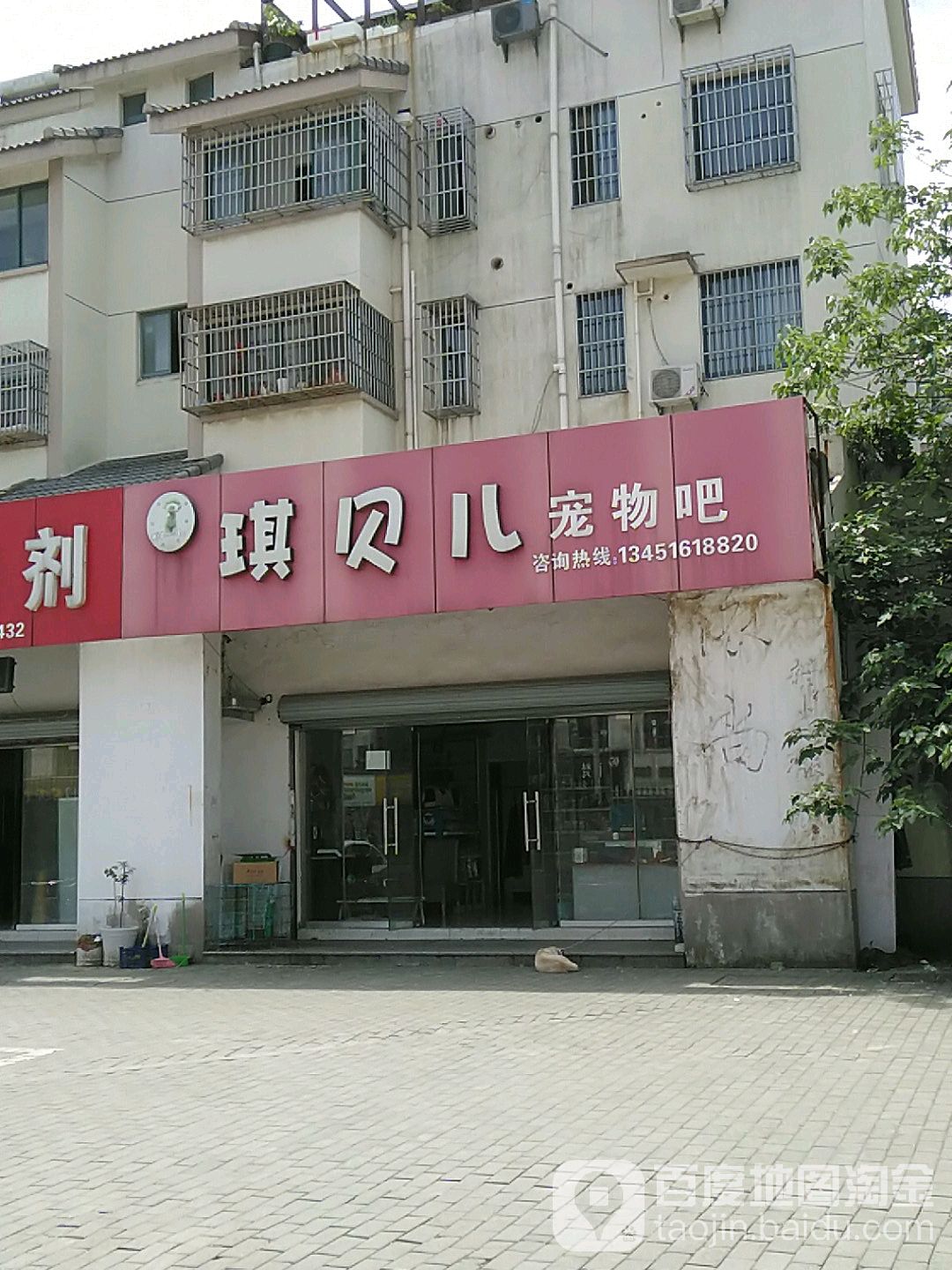 琪贝儿宠物吧