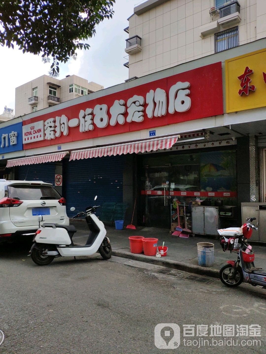 爱狗一族名犬宠物店