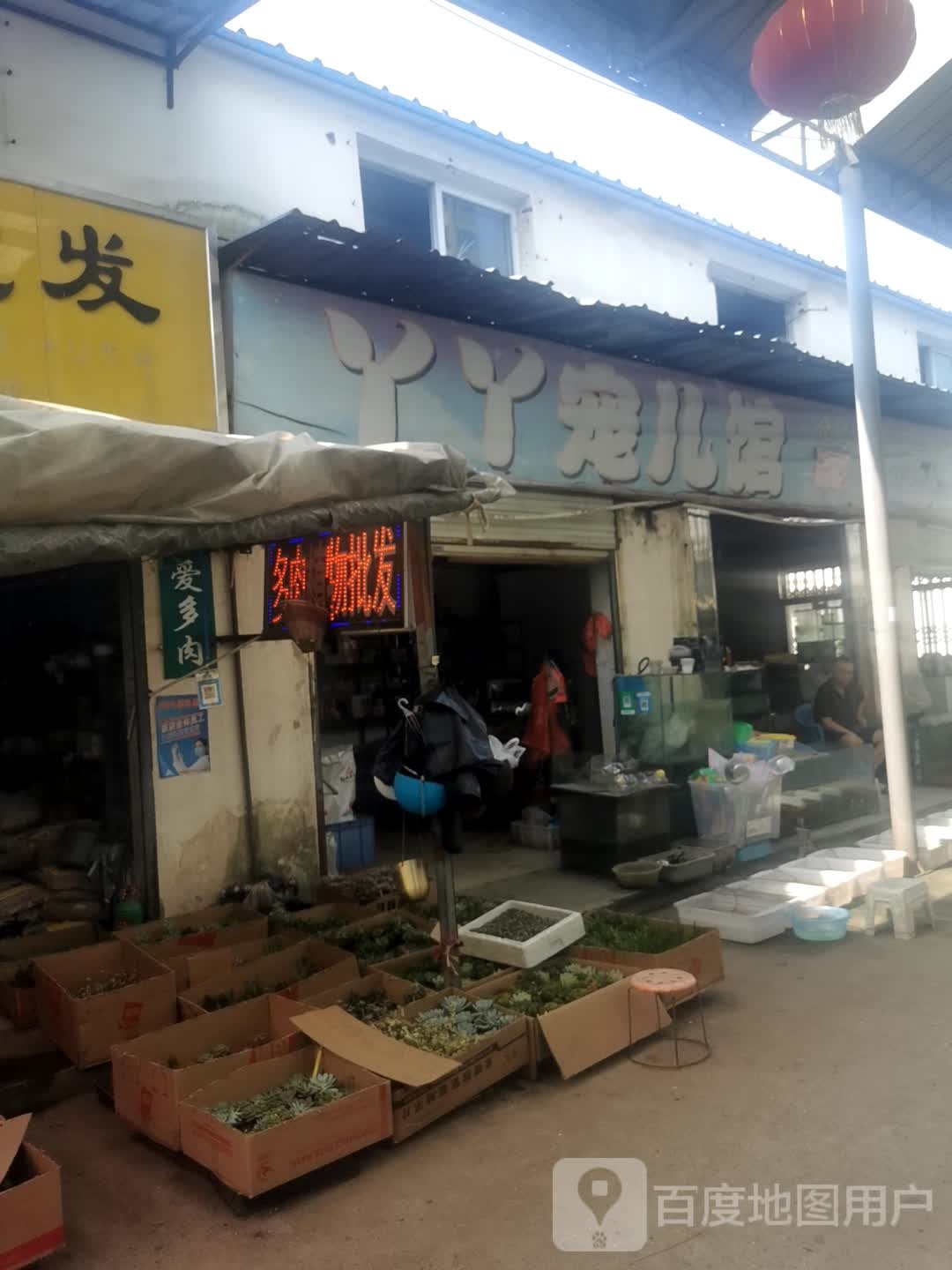 丫丫宠儿馆