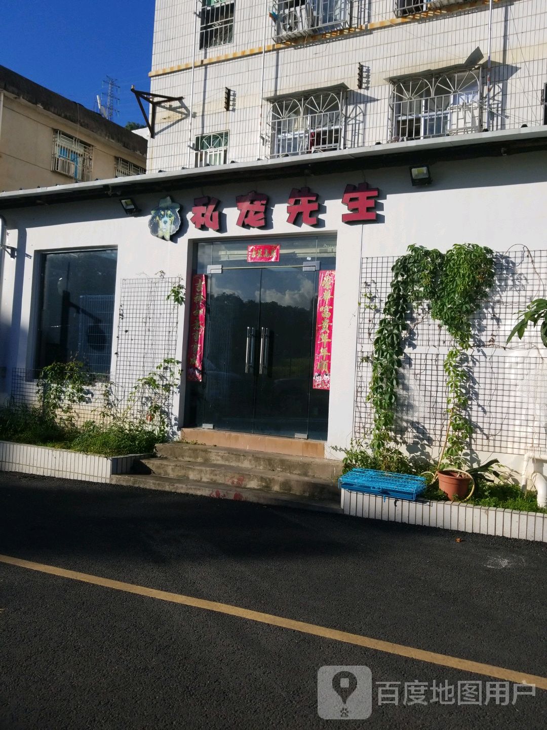 私宠先生