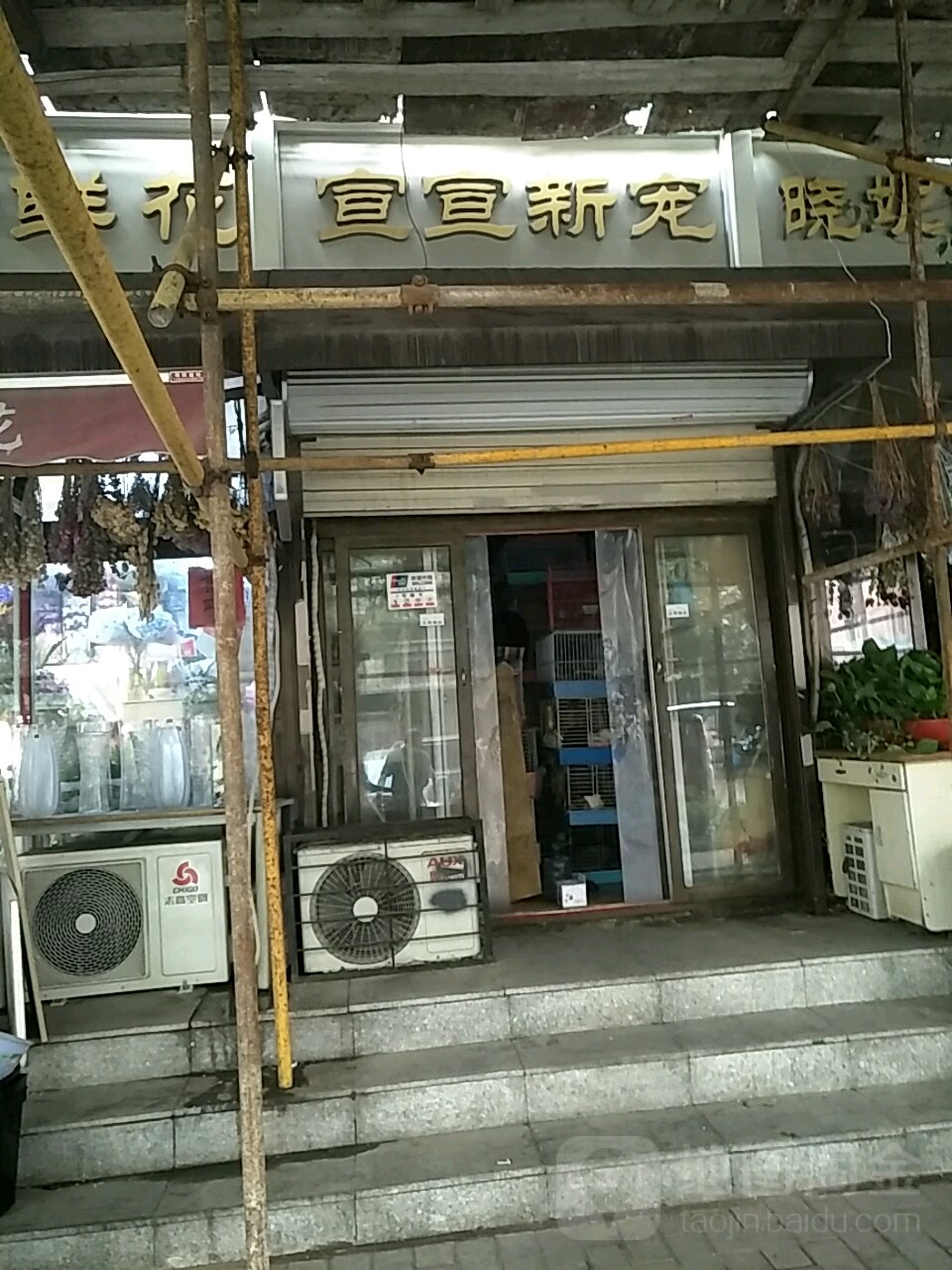 宣宣新宠