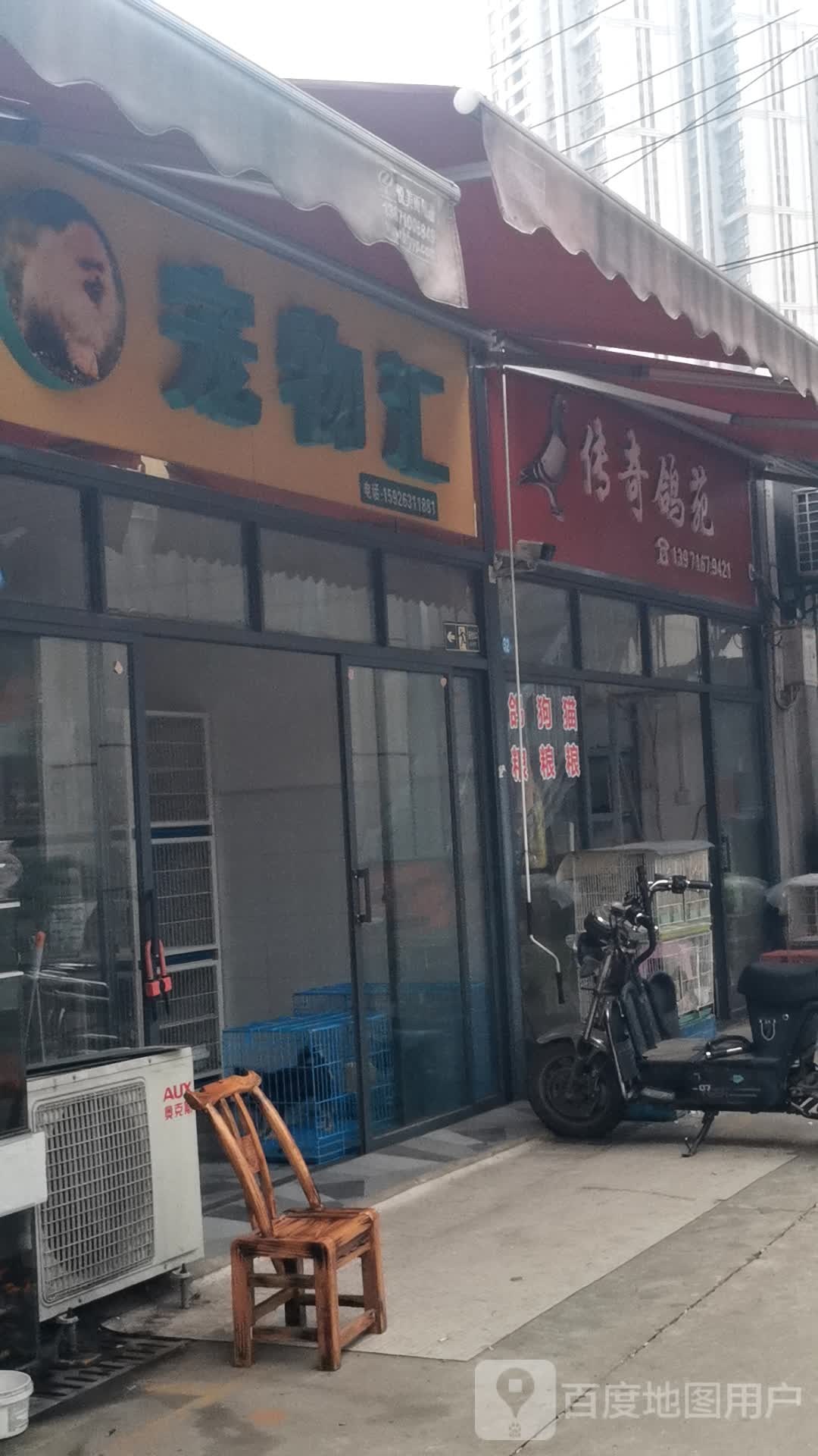 宠物汇