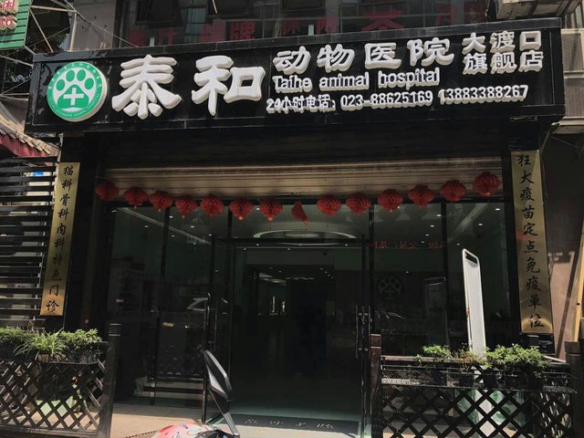 泰和动物医院(大渡口旗舰店)