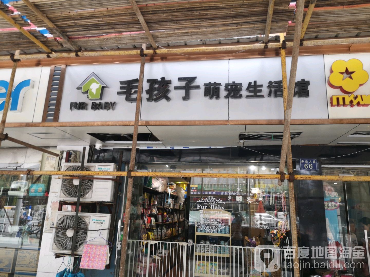 毛孩子宠物