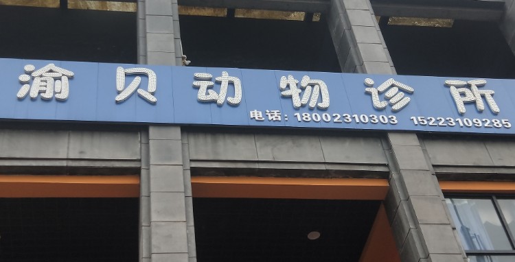 渝贝动物诊所