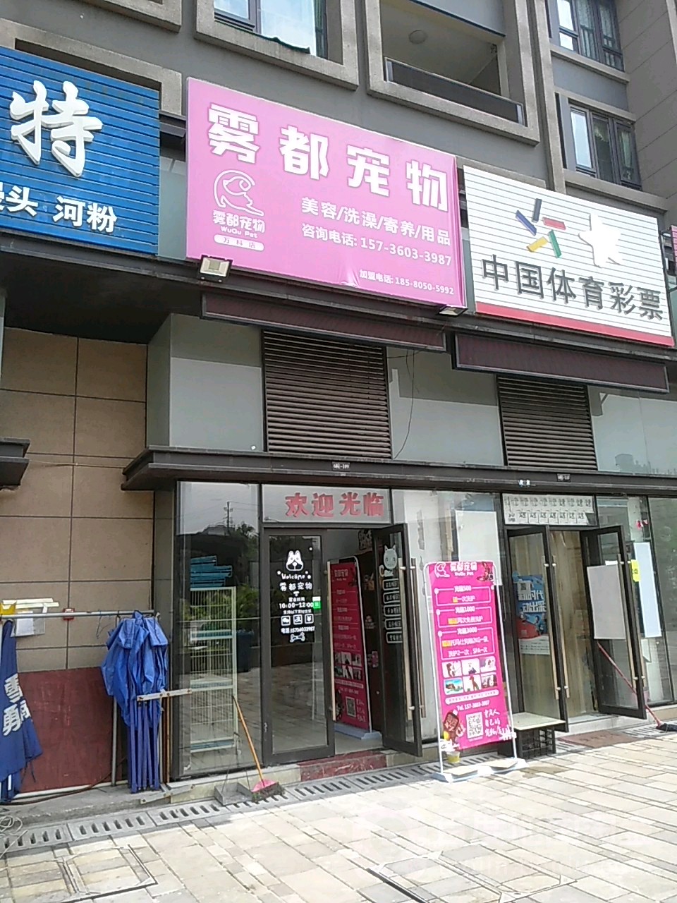 雾都宠物(沙坪坝店)