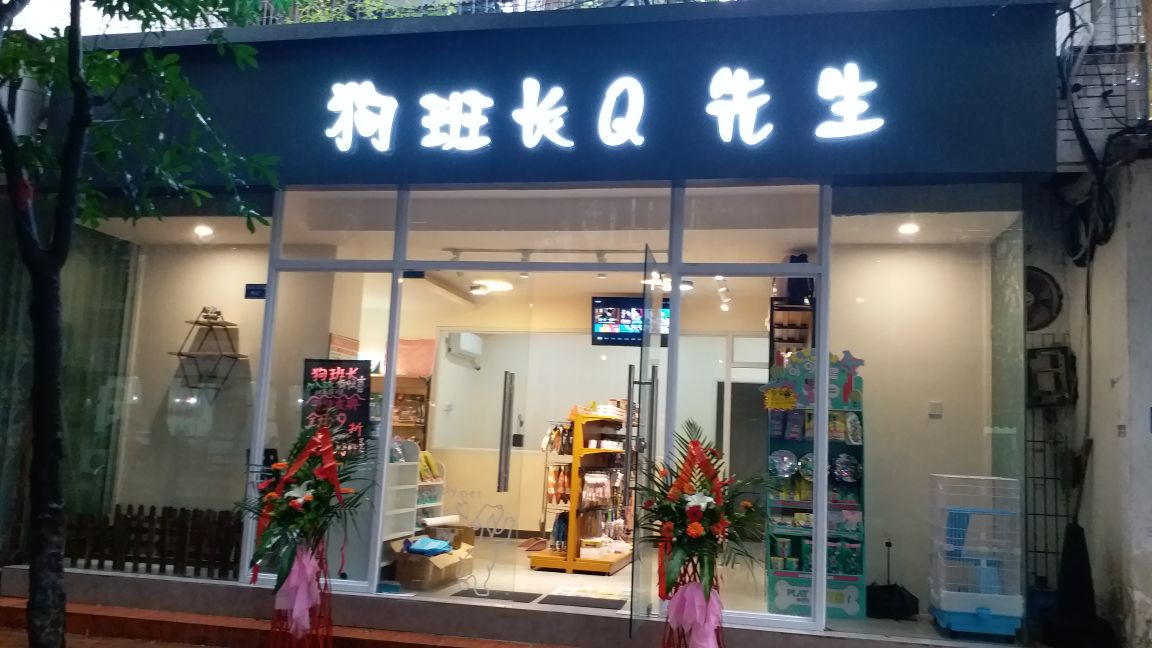 狗班长Q先生