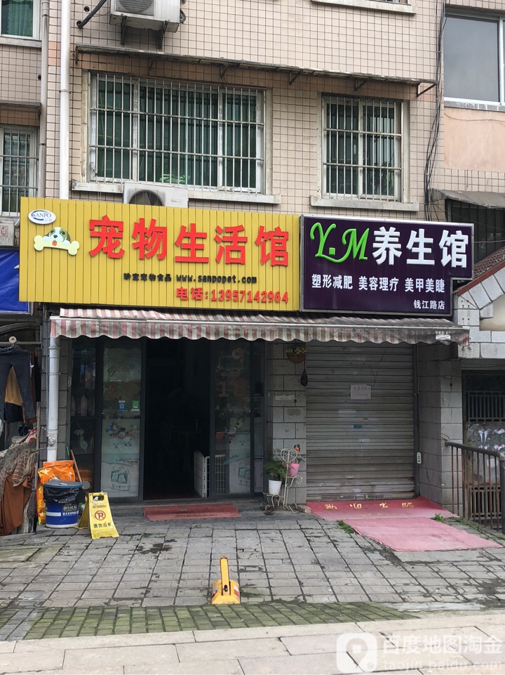 新成员宠物生活馆