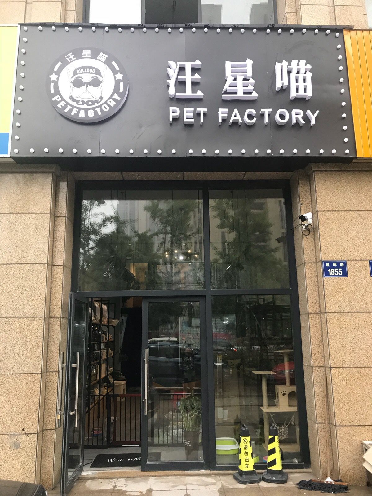 汪星喵