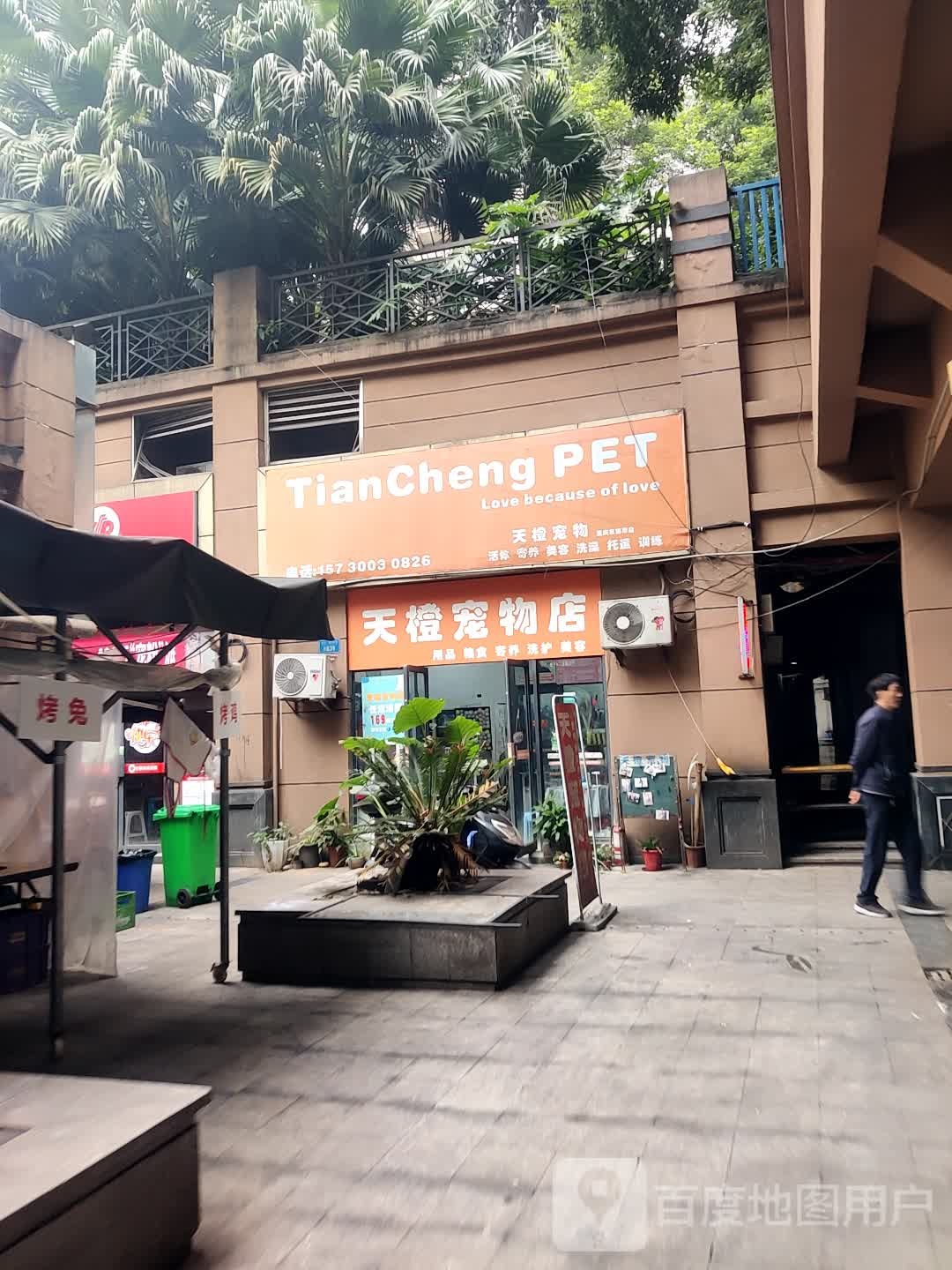 天橙宠物
