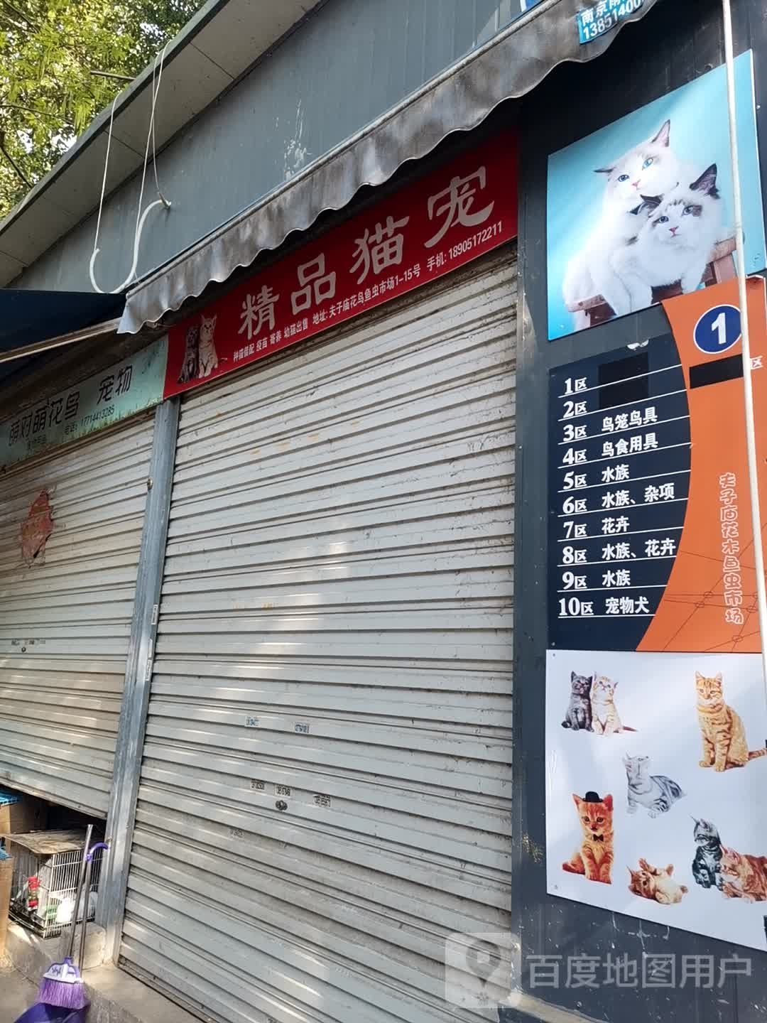 精品猫宠