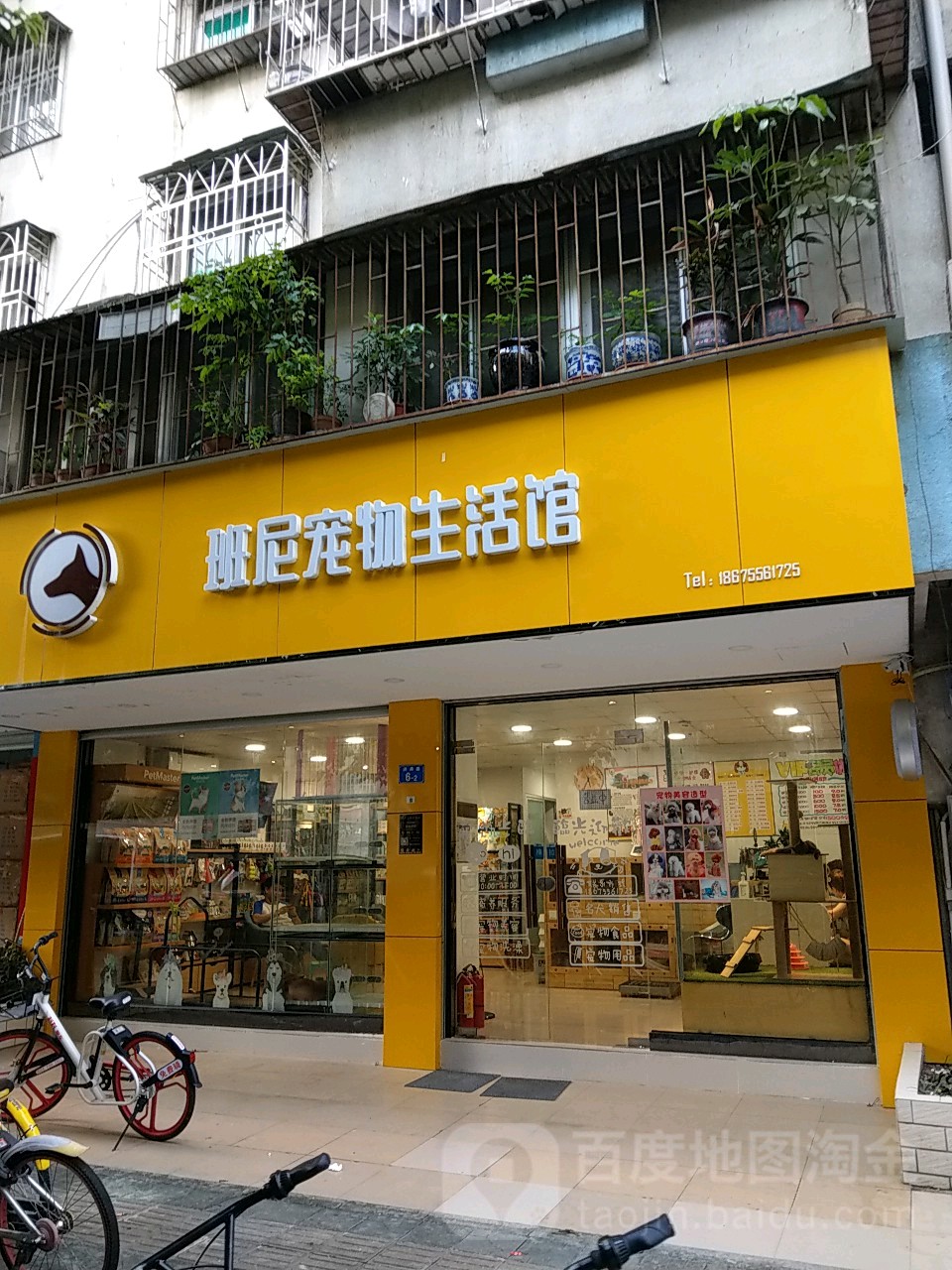 班尼宠物生活馆