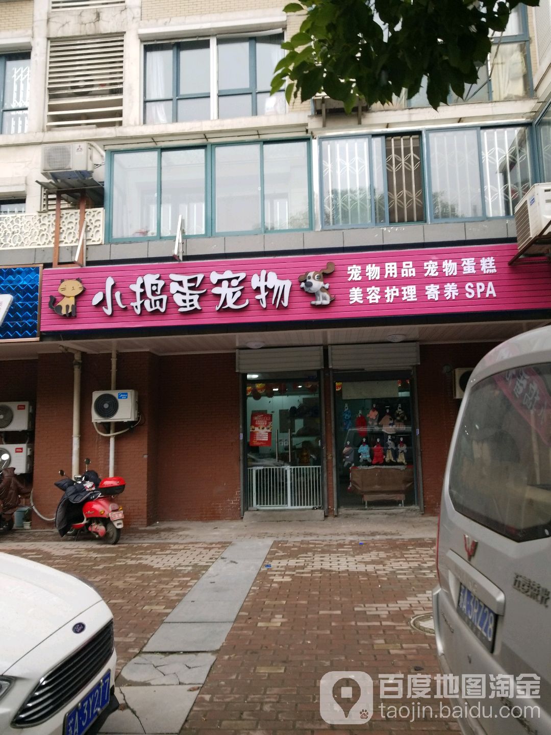 小捣蛋宠物