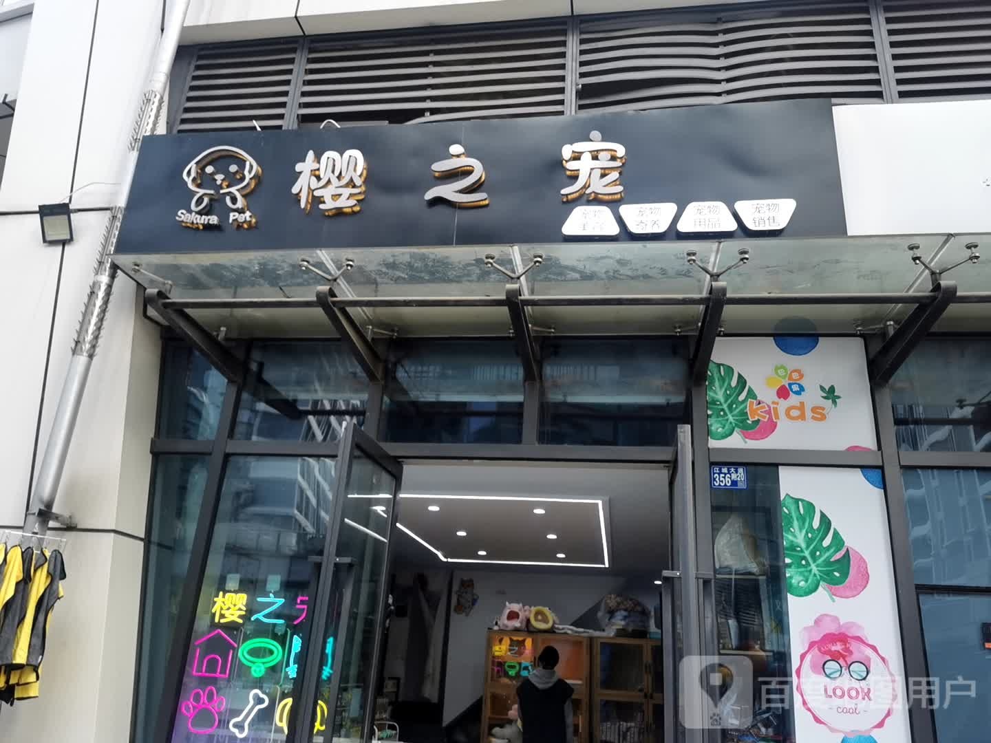樱之宠