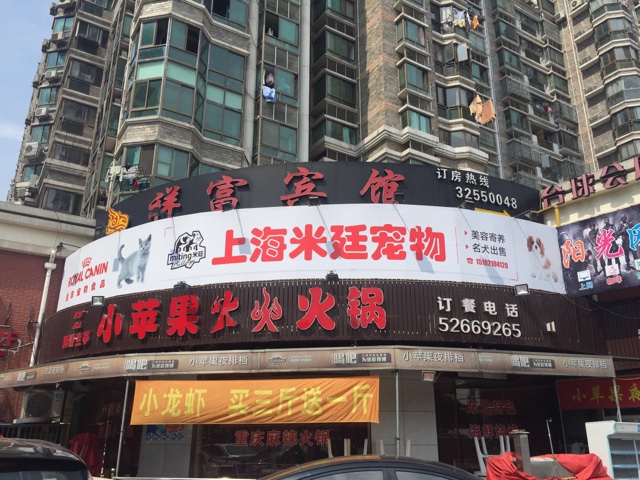 上海米廷宠物
