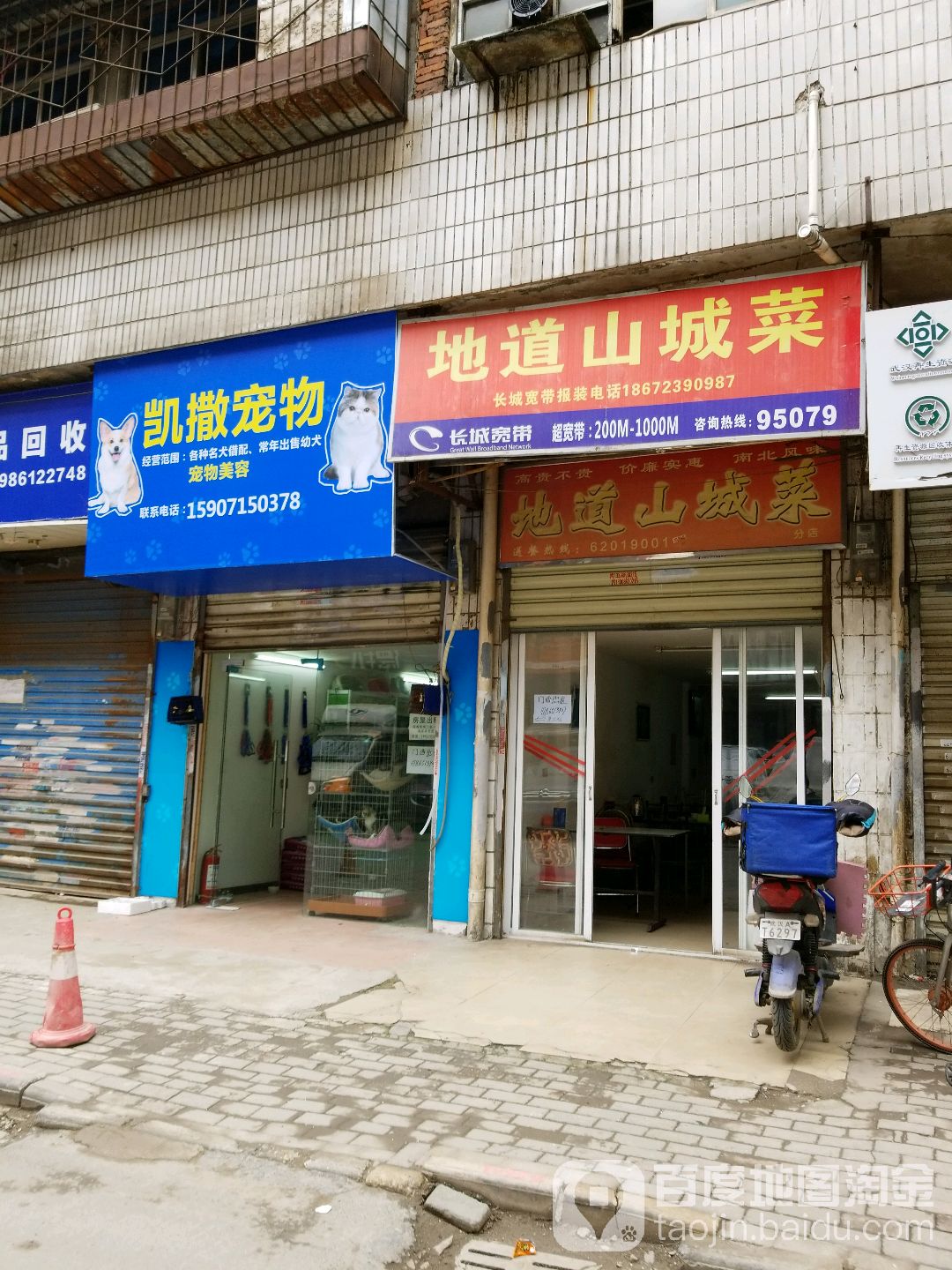 凯撒宠物
