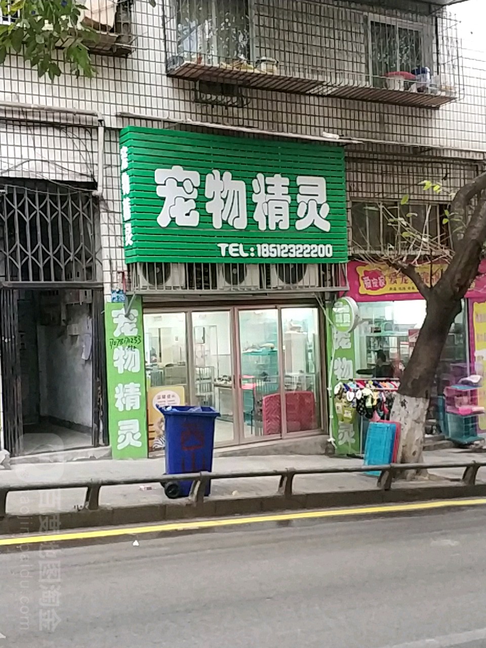 宠物精灵