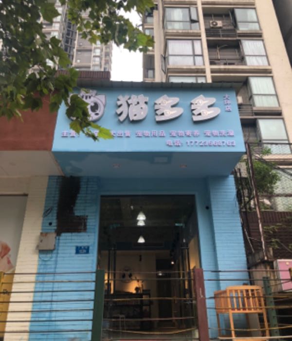 猫多多(大坪店)