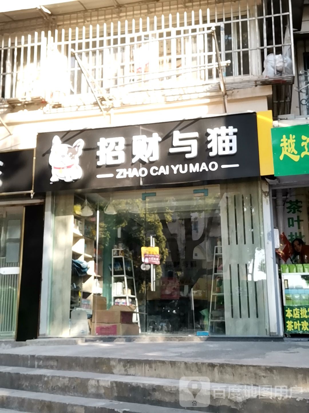 招财与猫