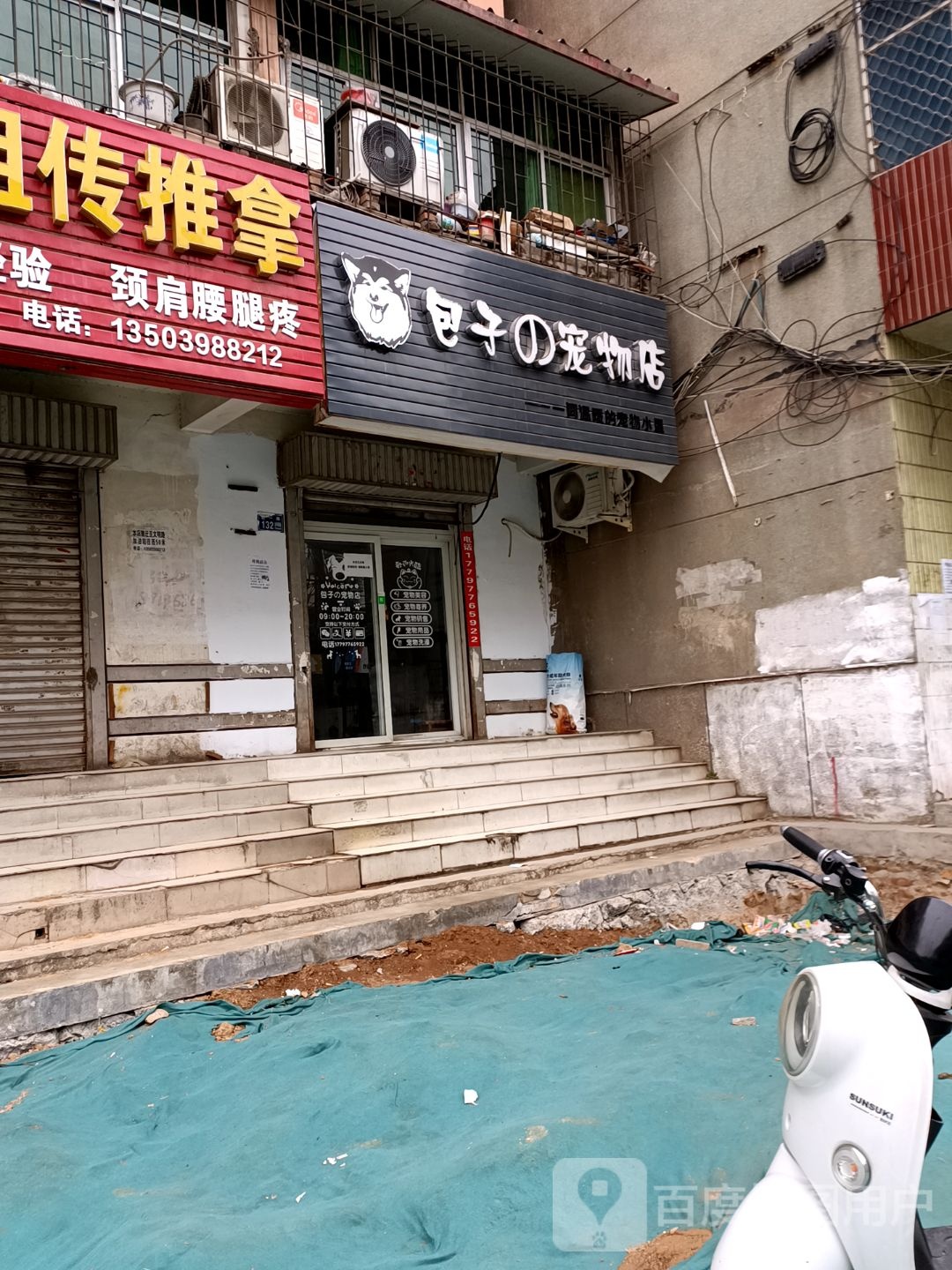 包子的宠物店