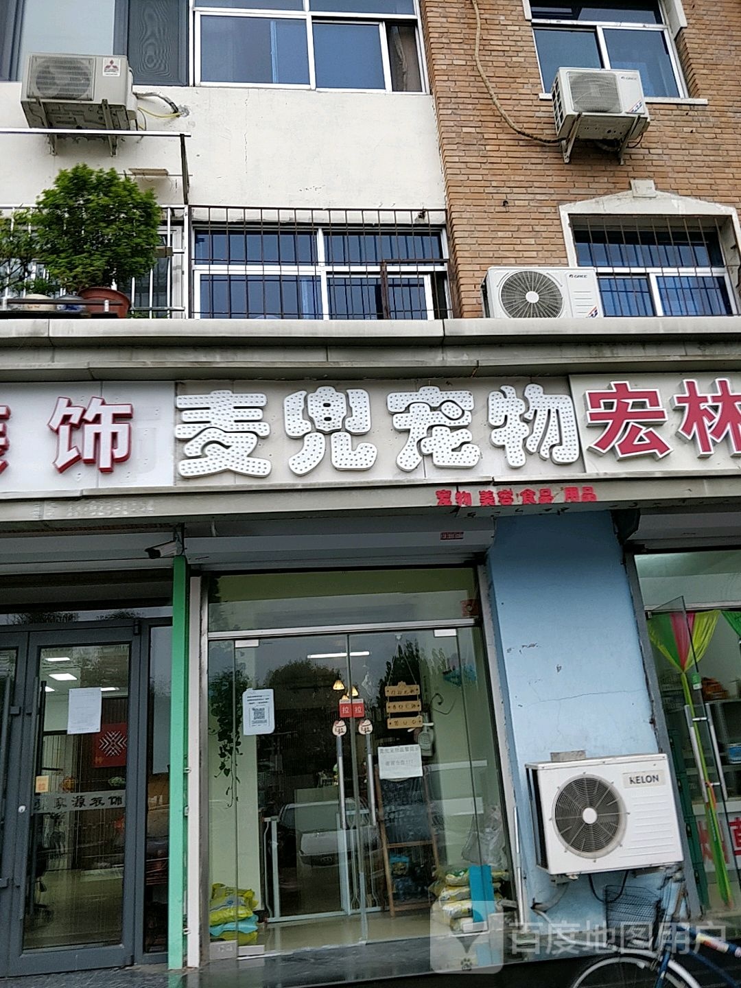 麦兜宠物